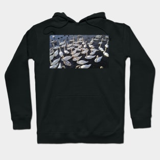 Swans in Water Hoodie